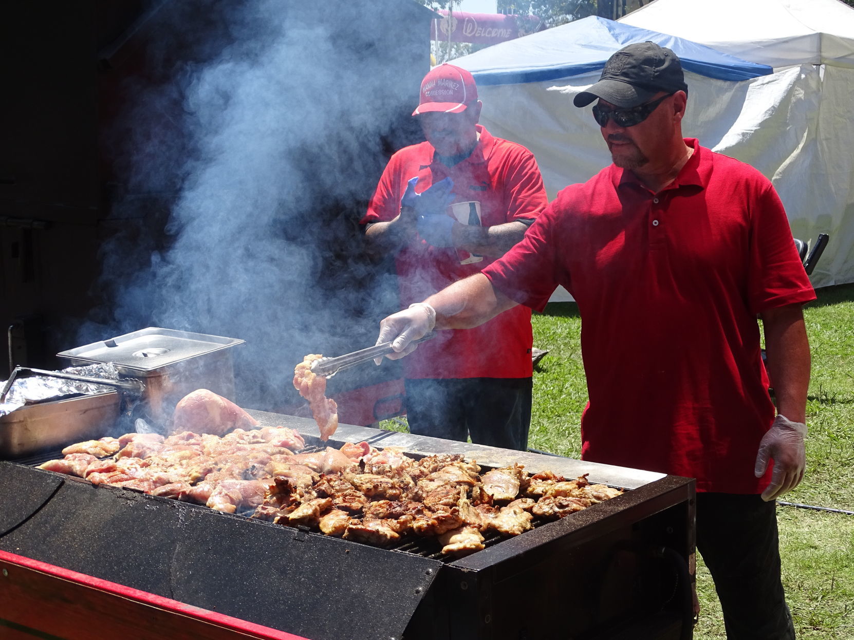 Napa Town & Country Fair 2019